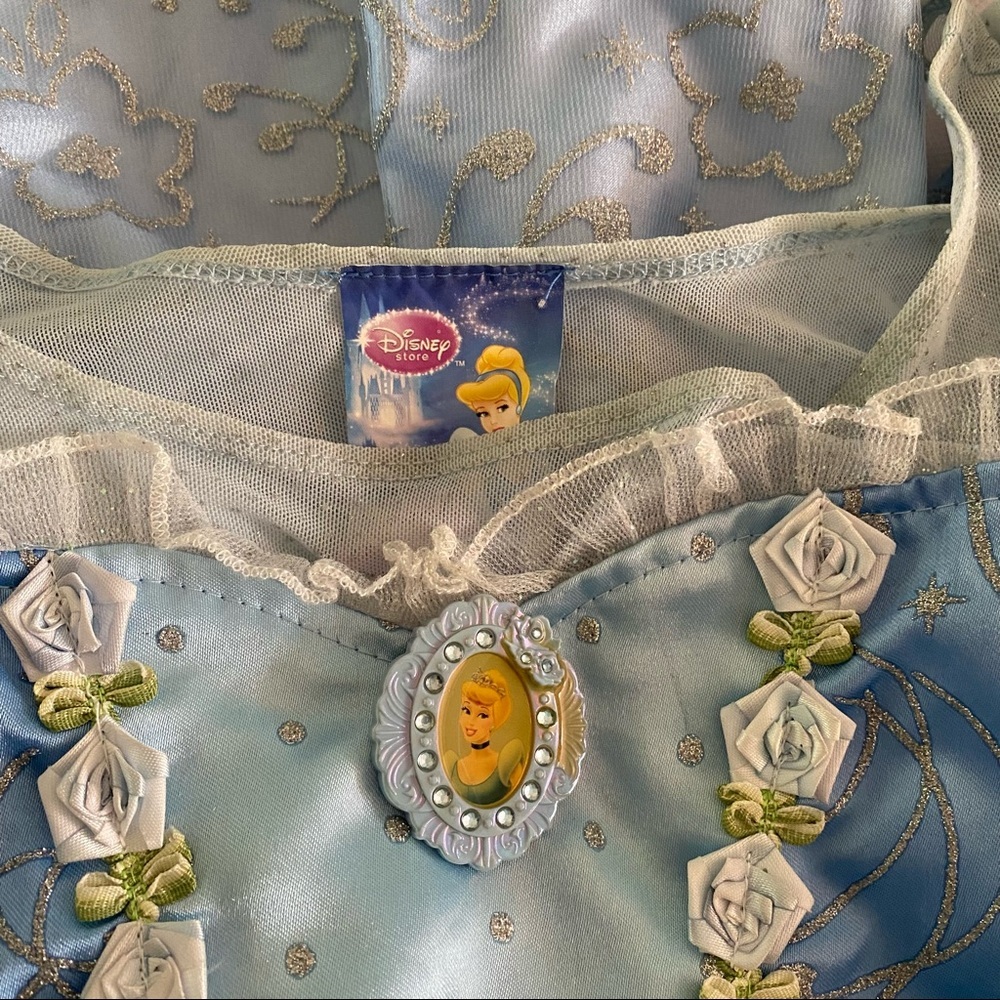 Disney Cinderella Costume - Picture 10 of 10